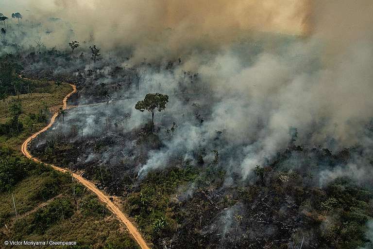 Foto: Victor Moriyama / Greenpeace Imagem aérea de queimadas na cidade de Altamira, Estado do Pará.